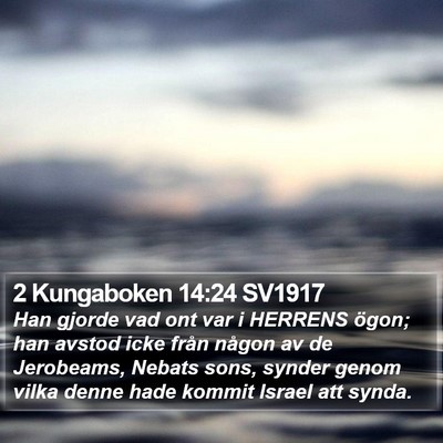 2 Kungaboken 14:24 SV1917 Bible Verse Image
