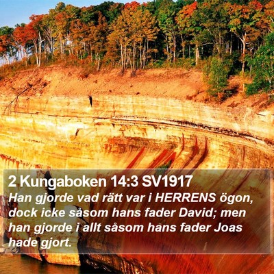 2 Kungaboken 14:3 SV1917 Bible Verse Image