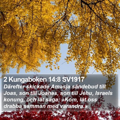 2 Kungaboken 14:8 SV1917 Bible Verse Image