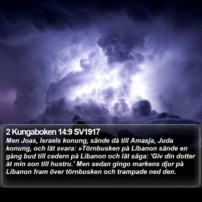 2 Kungaboken 14:9 SV1917 Bible Verse Image