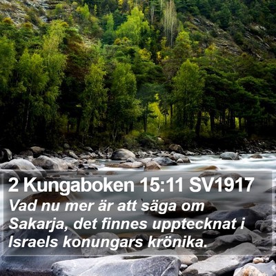2 Kungaboken 15:11 SV1917 Bible Verse Image