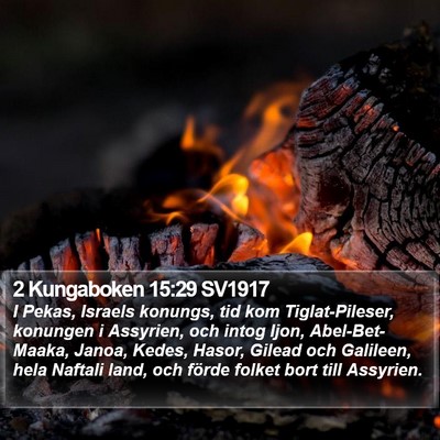 2 Kungaboken 15:29 SV1917 Bible Verse Image
