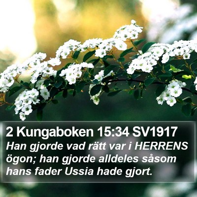 2 Kungaboken 15:34 SV1917 Bible Verse Image