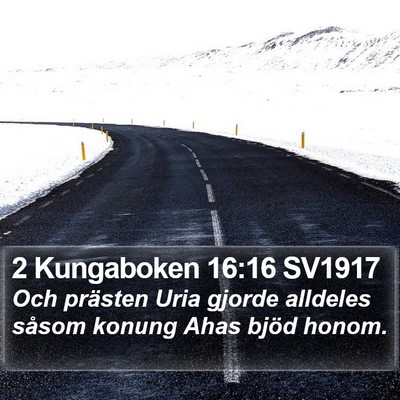 2 Kungaboken 16:16 SV1917 Bible Verse Image