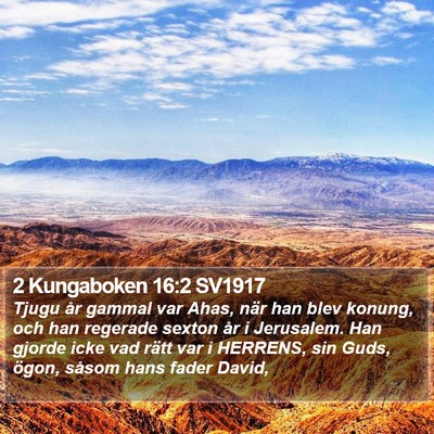 2 Kungaboken 16:2 SV1917 Bible Verse Image