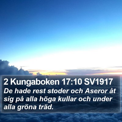 2 Kungaboken 17:10 SV1917 Bible Verse Image