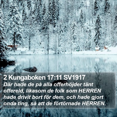 2 Kungaboken 17:11 SV1917 Bible Verse Image