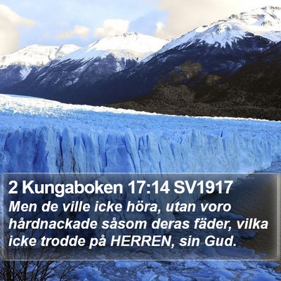 2 Kungaboken 17:14 SV1917 Bible Verse Image