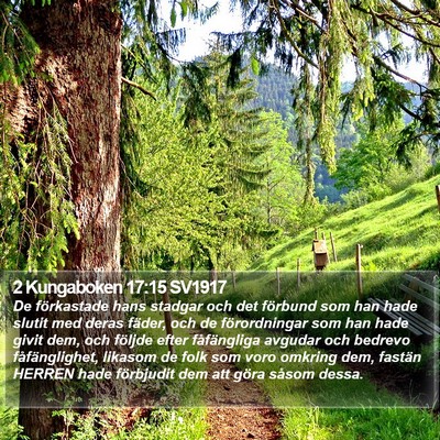 2 Kungaboken 17:15 SV1917 Bible Verse Image