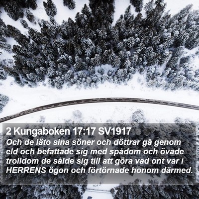 2 Kungaboken 17:17 SV1917 Bible Verse Image