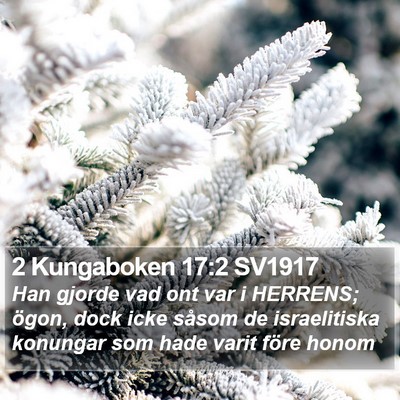 2 Kungaboken 17:2 SV1917 Bible Verse Image