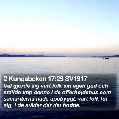 2 Kungaboken 17:29 SV1917 Bible Verse Image