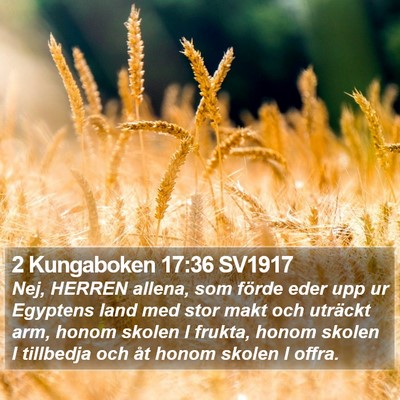 2 Kungaboken 17:36 SV1917 Bible Verse Image