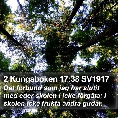 2 Kungaboken 17:38 SV1917 Bible Verse Image