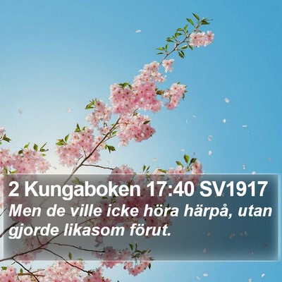 2 Kungaboken 17:40 SV1917 Bible Verse Image