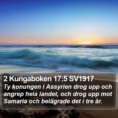 2 Kungaboken 17:5 SV1917 Bible Verse Image