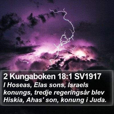 2 Kungaboken 18:1 SV1917 Bible Verse Image
