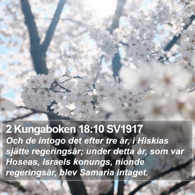2 Kungaboken 18:10 SV1917 Bible Verse Image