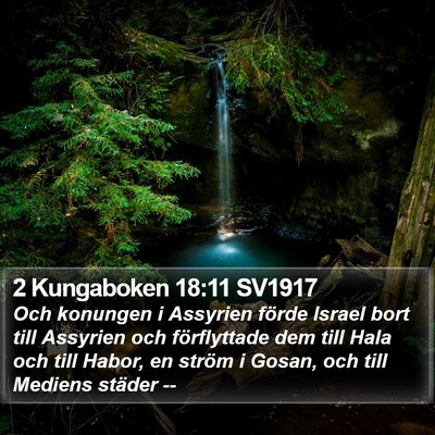 2 Kungaboken 18:11 SV1917 Bible Verse Image