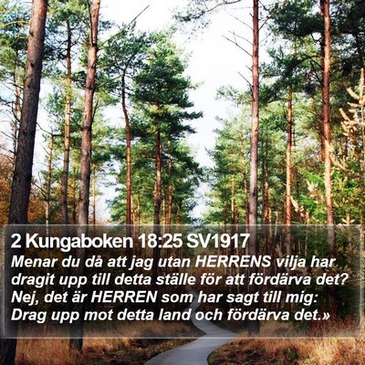 2 Kungaboken 18:25 SV1917 Bible Verse Image