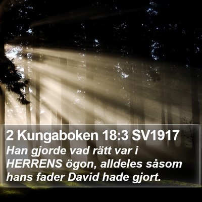 2 Kungaboken 18:3 SV1917 Bible Verse Image