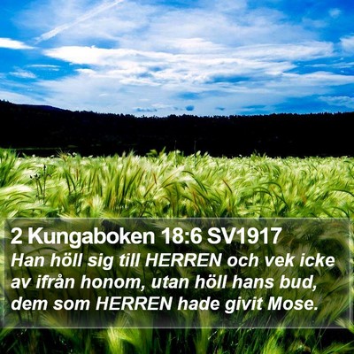 2 Kungaboken 18:6 SV1917 Bible Verse Image
