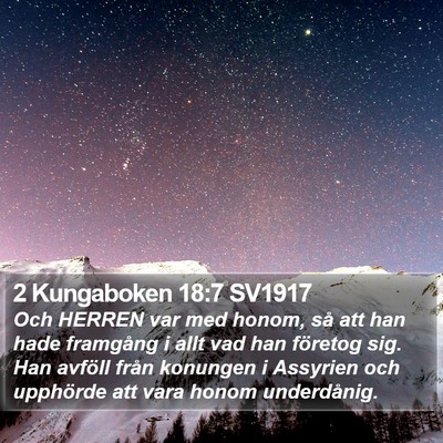 2 Kungaboken 18:7 SV1917 Bible Verse Image