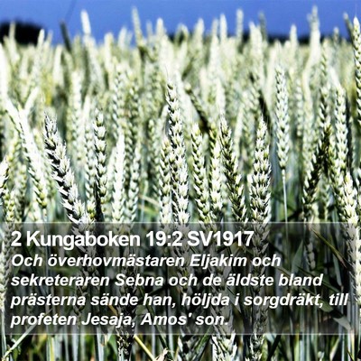 2 Kungaboken 19:2 SV1917 Bible Verse Image