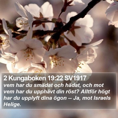 2 Kungaboken 19:22 SV1917 Bible Verse Image