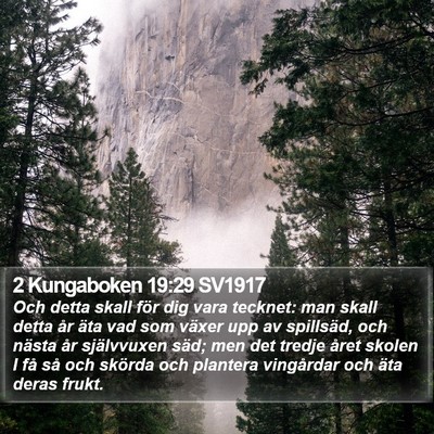 2 Kungaboken 19:29 SV1917 Bible Verse Image