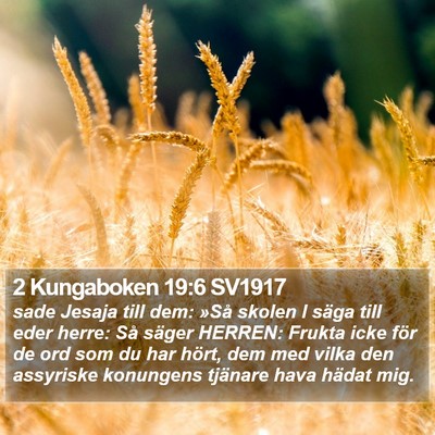 2 Kungaboken 19:6 SV1917 Bible Verse Image