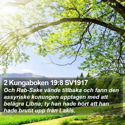 2 Kungaboken 19:8 SV1917 Bible Verse Image