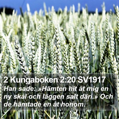 2 Kungaboken 2:20 SV1917 Bible Verse Image