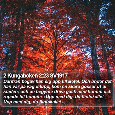 2 Kungaboken 2:23 SV1917 Bible Verse Image