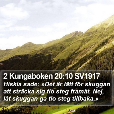 2 Kungaboken 20:10 SV1917 Bible Verse Image
