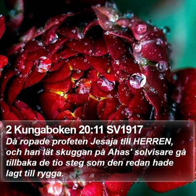 2 Kungaboken 20:11 SV1917 Bible Verse Image
