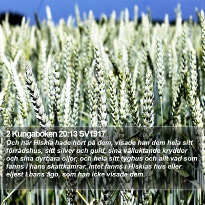 2 Kungaboken 20:13 SV1917 Bible Verse Image