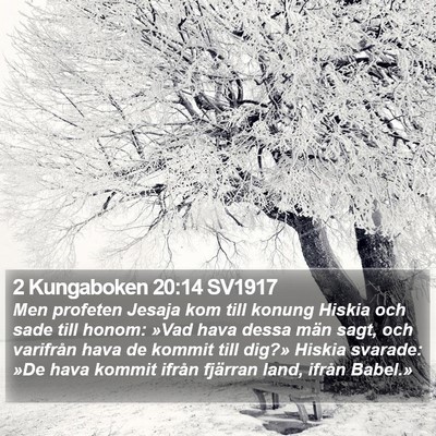 2 Kungaboken 20:14 SV1917 Bible Verse Image