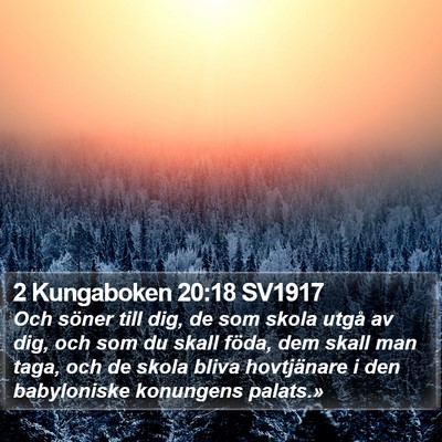 2 Kungaboken 20:18 SV1917 Bible Verse Image
