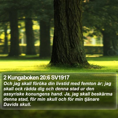 2 Kungaboken 20:6 SV1917 Bible Verse Image