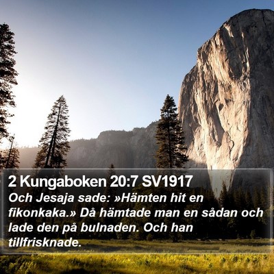 2 Kungaboken 20:7 SV1917 Bible Verse Image