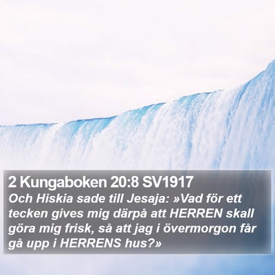 2 Kungaboken 20:8 SV1917 Bible Verse Image