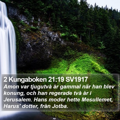 2 Kungaboken 21:19 SV1917 Bible Verse Image