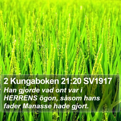 2 Kungaboken 21:20 SV1917 Bible Verse Image