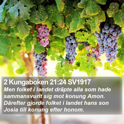 2 Kungaboken 21:24 SV1917 Bible Verse Image