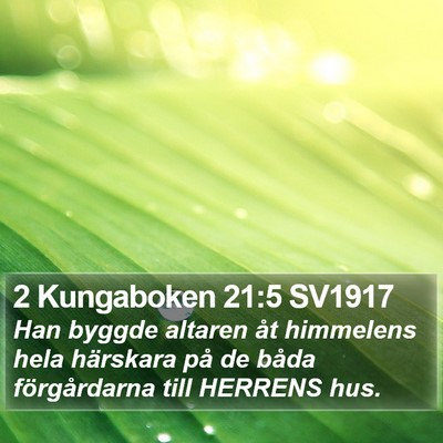 2 Kungaboken 21:5 SV1917 Bible Verse Image