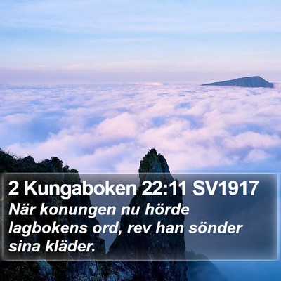 2 Kungaboken 22:11 SV1917 Bible Verse Image