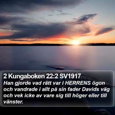 2 Kungaboken 22:2 SV1917 Bible Verse Image