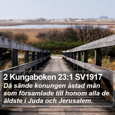 2 Kungaboken 23:1 SV1917 Bible Verse Image