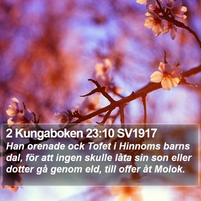2 Kungaboken 23:10 SV1917 Bible Verse Image
